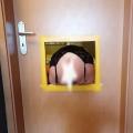 Quicki an der Glory Hole. Bild